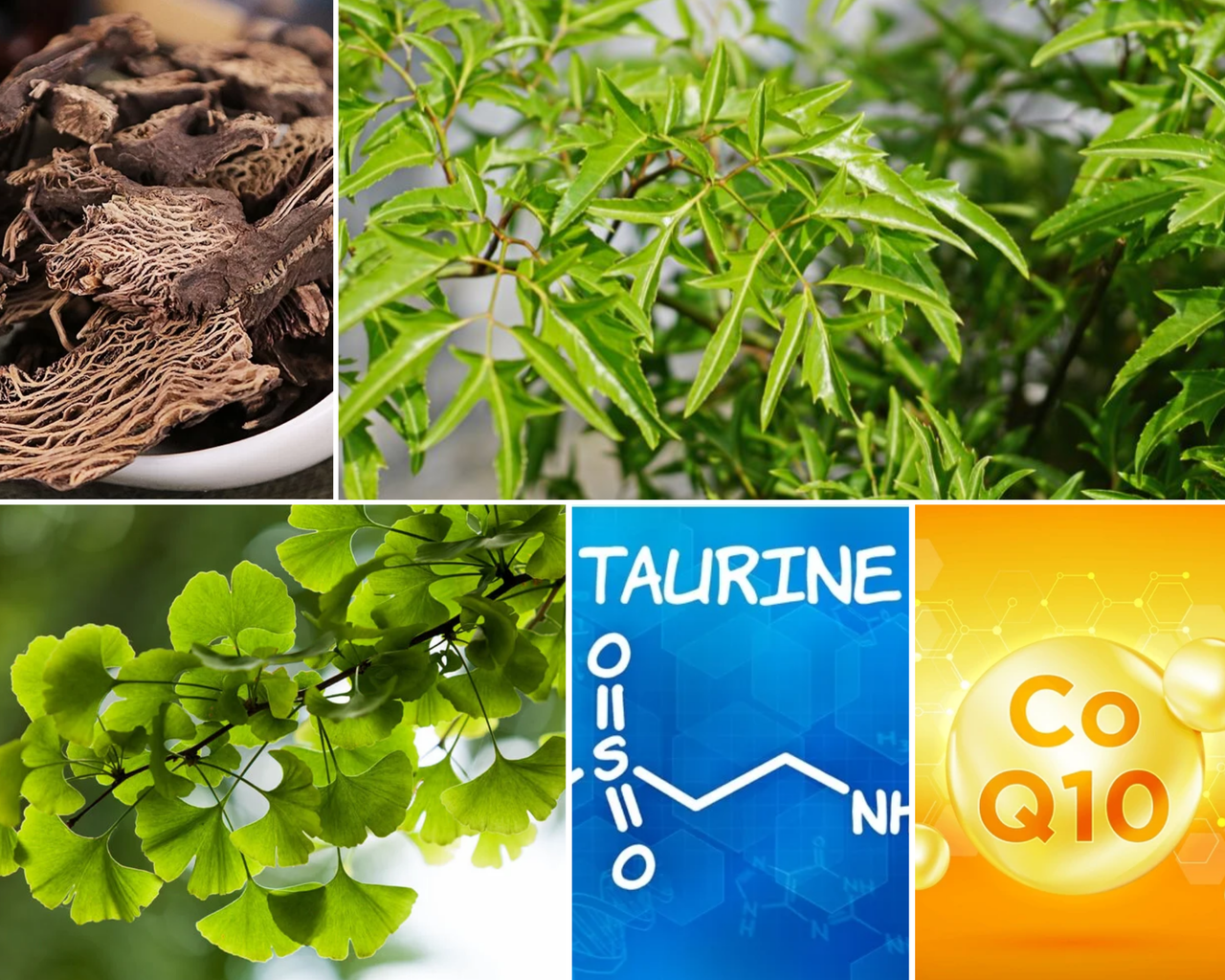 Nhiều thảo dược và dưỡng chất tốt cho trẻ tăng động giảm chú ý