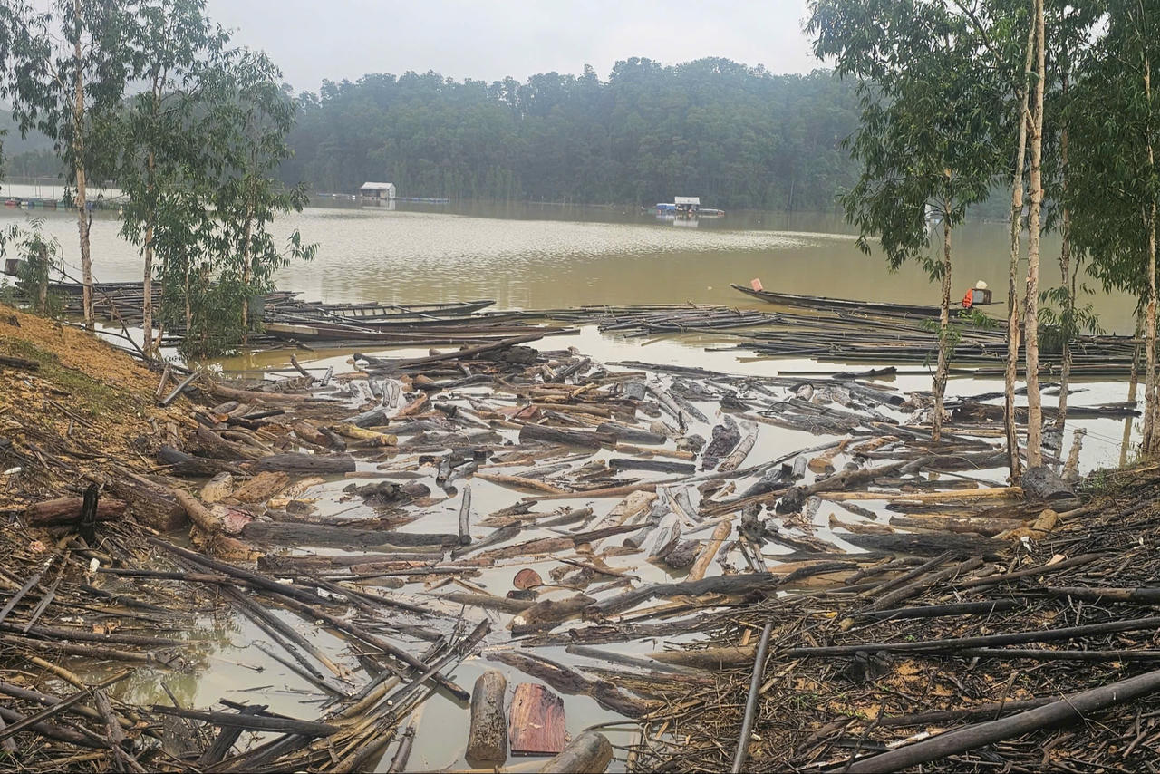 Video: Hồ thủy điện Bình Điền (Huế) đón lượng gỗ lớn sau mưa lũ