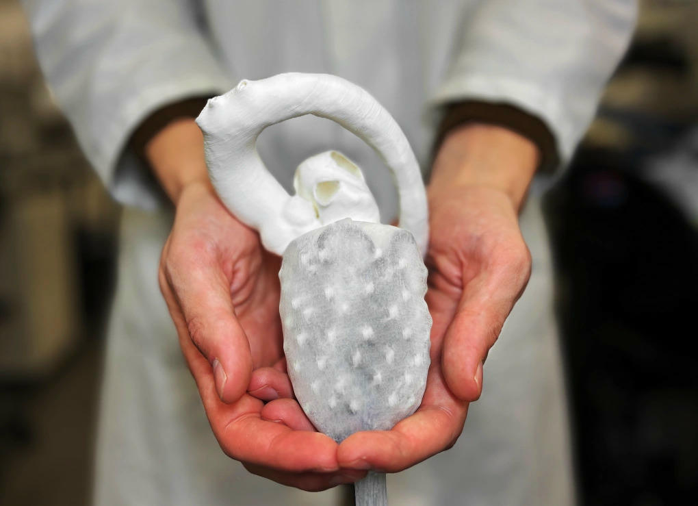 Trong sự kiện của VinFuture, PGS. Đỗ Thanh Nhỏ sẽ giới thiệu về hoạt động của “trái tim nhân tạo mềm có khả năng đập” do ông nghiên cứu. Ảnh: UNSW.