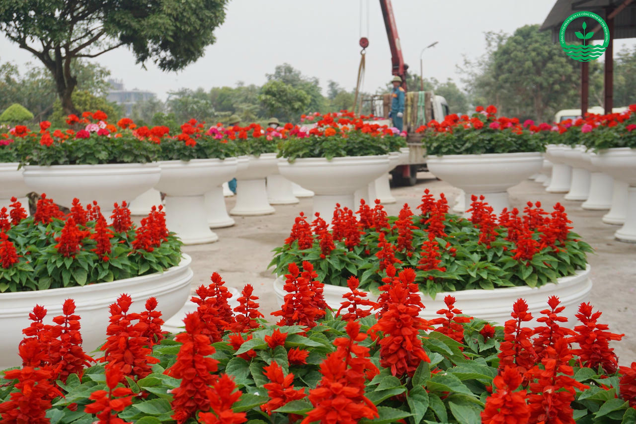 Công ty CP Quản lý công trình đô thị Hải Dương chú trọng ứng dụng khoa học kỹ thuật vào hoạt động sản xuất, kinh doanh 