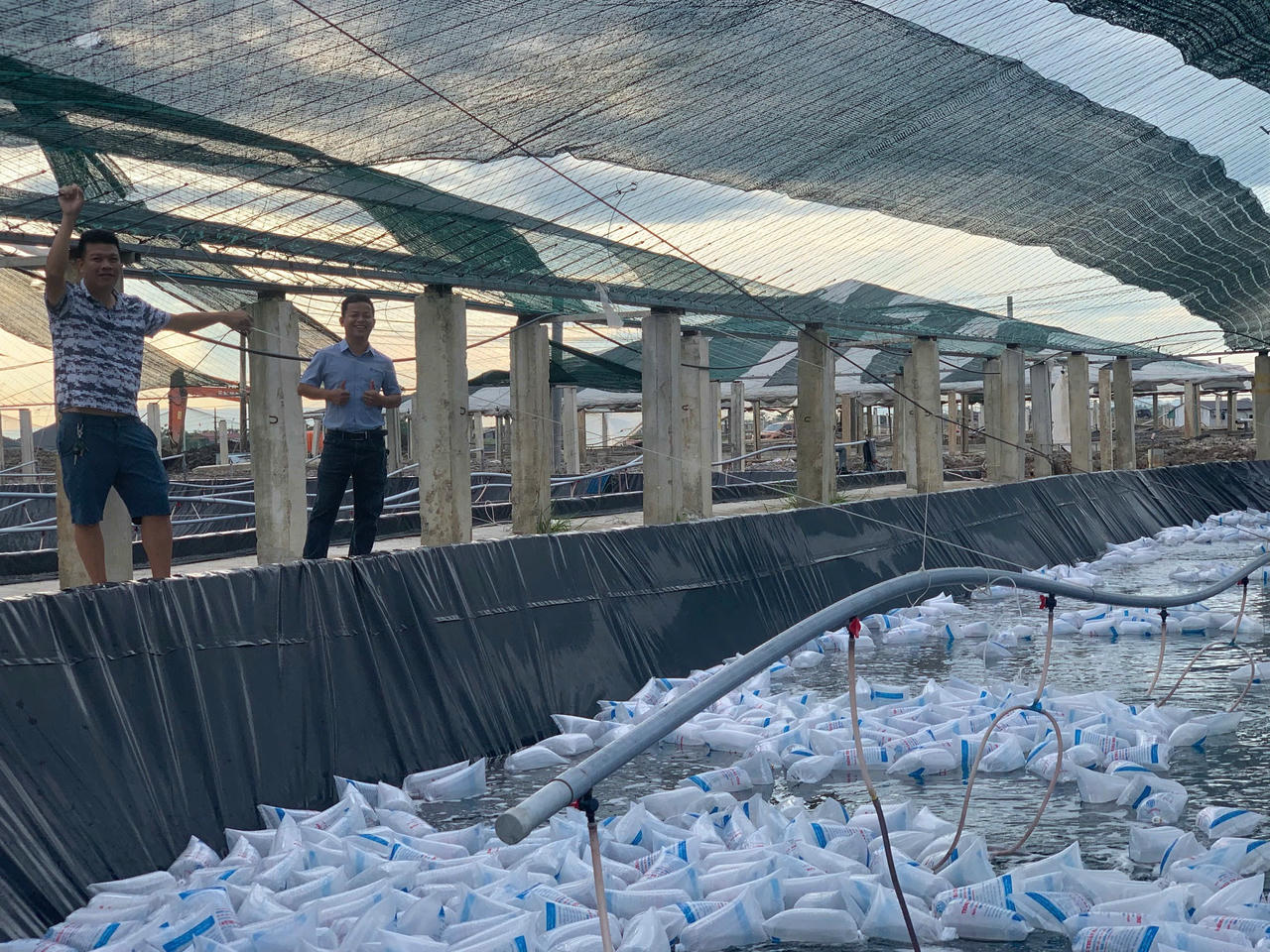 Công ty Thủy sản Thông Thuận tại Hà Tĩnh khắc phục thiệt hại sau bão số 10 và 11, ổn định tái sản xuất vụ tôm mới.