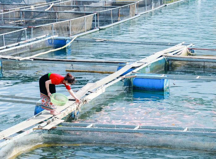 Đường mở lối, rừng nuôi dân, kinh tế khởi sắc từ Chương trình MTQG xã vùng biên 