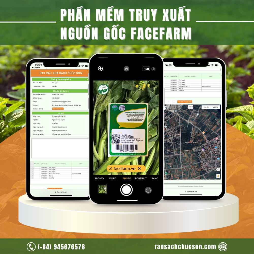 Ứng dụng công nghệ cao 'đòn bẩy' thúc đẩy HTX hướng đến sản xuất xanh, bền vững