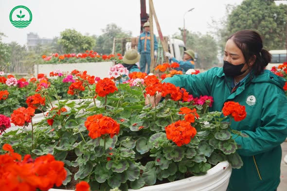 Công ty&nbsp; đảm nhận các lĩnh vực bao gồm: quản lý, chăm sóc và duy trì hệ thống vườn hoa, công viên, cây xanh...
