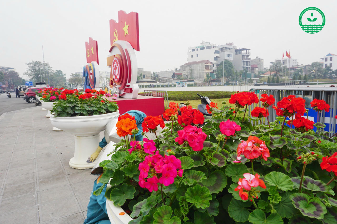 Công ty CP Quản lý công trình đô thị Hải Dương góp sức vào diện mạo đô thị địa phương