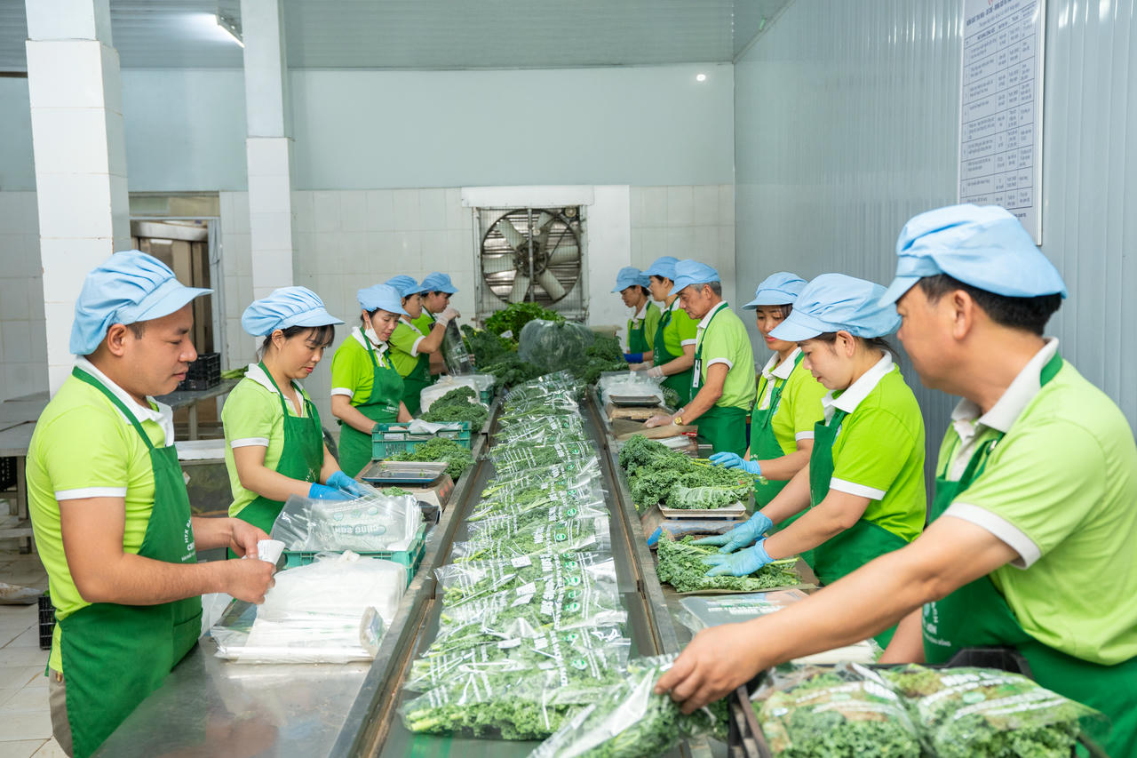 Ứng dụng công nghệ cao 'đòn bẩy' thúc đẩy HTX hướng đến sản xuất xanh, bền vững