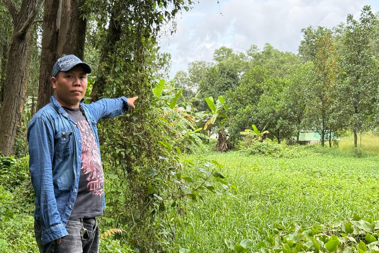 Công ty Tân Tạo bị ‘chủ nợ’ đề nghị làm thủ tục phá sản