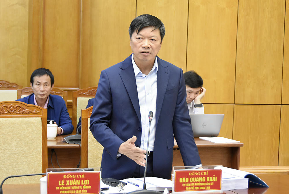 Phó Chủ tịch UBND tỉnh Đào Quang Khải phát biểu tại hội nghị.