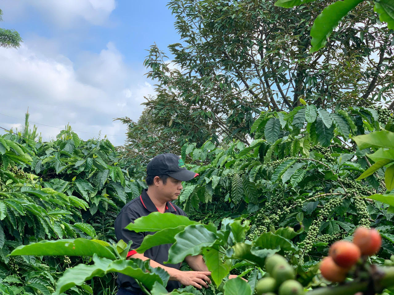 Anh Đào Duy Quỳnh (Gia Lai) tham gia chương trình NESCAFÉ Plan từ những ngày đầu tiên