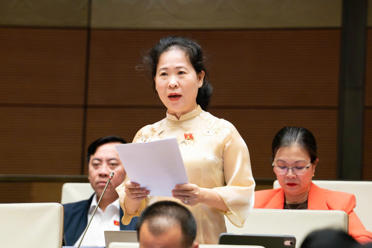 Đại biểu Tô Ái Vang.