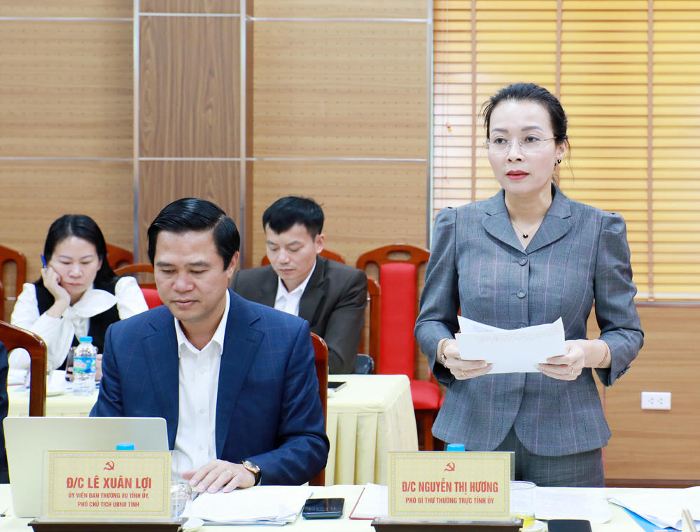 Bà Nguyễn Thị Hương, Phó Bí thư Thường trực Tỉnh ủy phát biểu tại buổi làm việc.