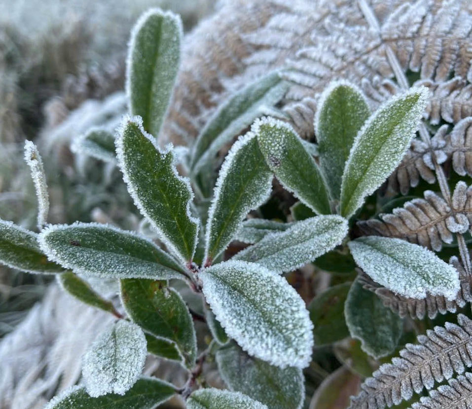 Sương mù quấn quýt quanh các ngọn núi, kết hợp với băng tuyết, tạo ra một không gian huyền bí và ấn tượng.
