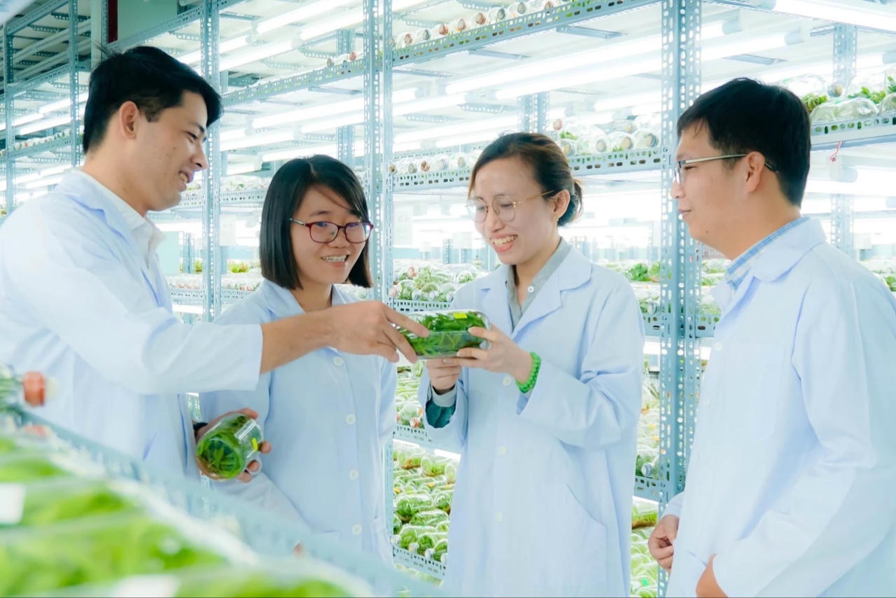 TP HCM bàn cách phát huy giá trị không gian nông nghiệp rộng lớn sau sáp nhập