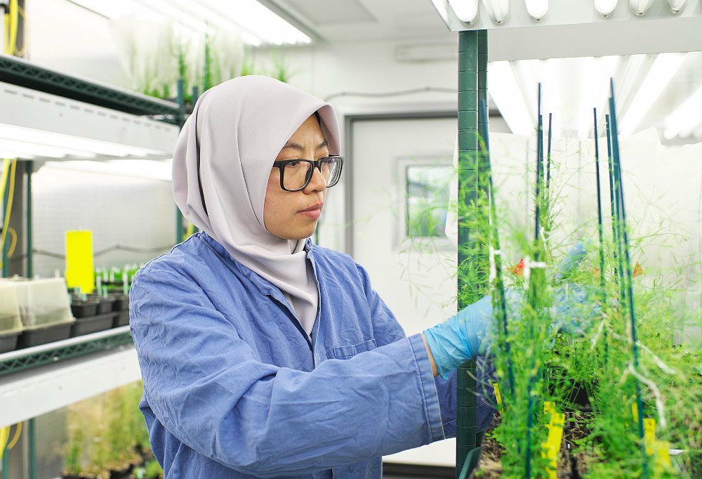 TS. Nadia Radzman sẽ mang đến những kinh nghiệm thực tiễn từ các nghiên cứu và dự án của bà trong lĩnh vực nông nghiệp và thực phẩm tại Tuần lễ Khoa học Công nghệ VinFuture năm nay. Ảnh: IE Cambridge.  