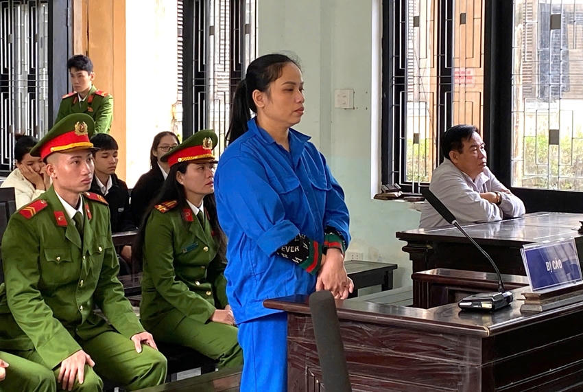 Lập sổ nợ giả để chiếm đoạt tiền, nữ giám đốc nhận 7 năm tù