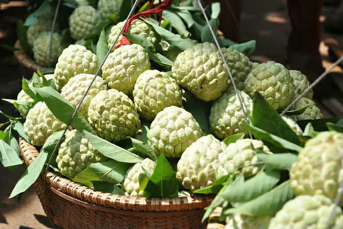 Quả na - Một thương hiệu nông sản nổi tiếng ở Lạng Sơn.