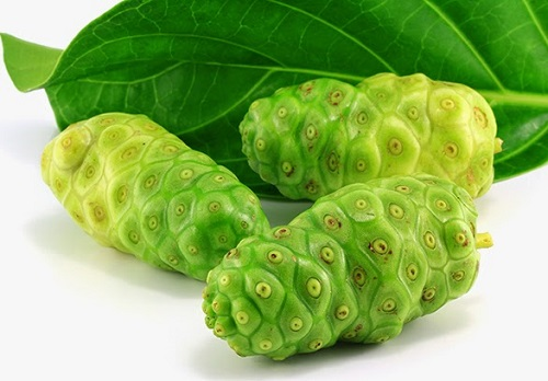 Cao Nhàu giúp giảm ngứa da mùa lạnh ở người cao tuổi