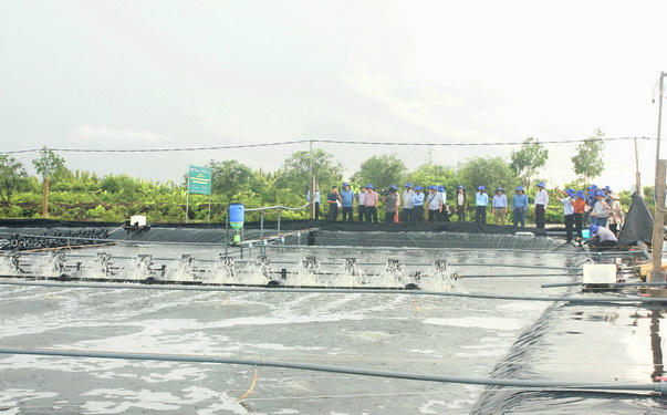 Cà Mau: Khai mở tiềm năng, vươn lên trung tâm động lực vùng cực Nam