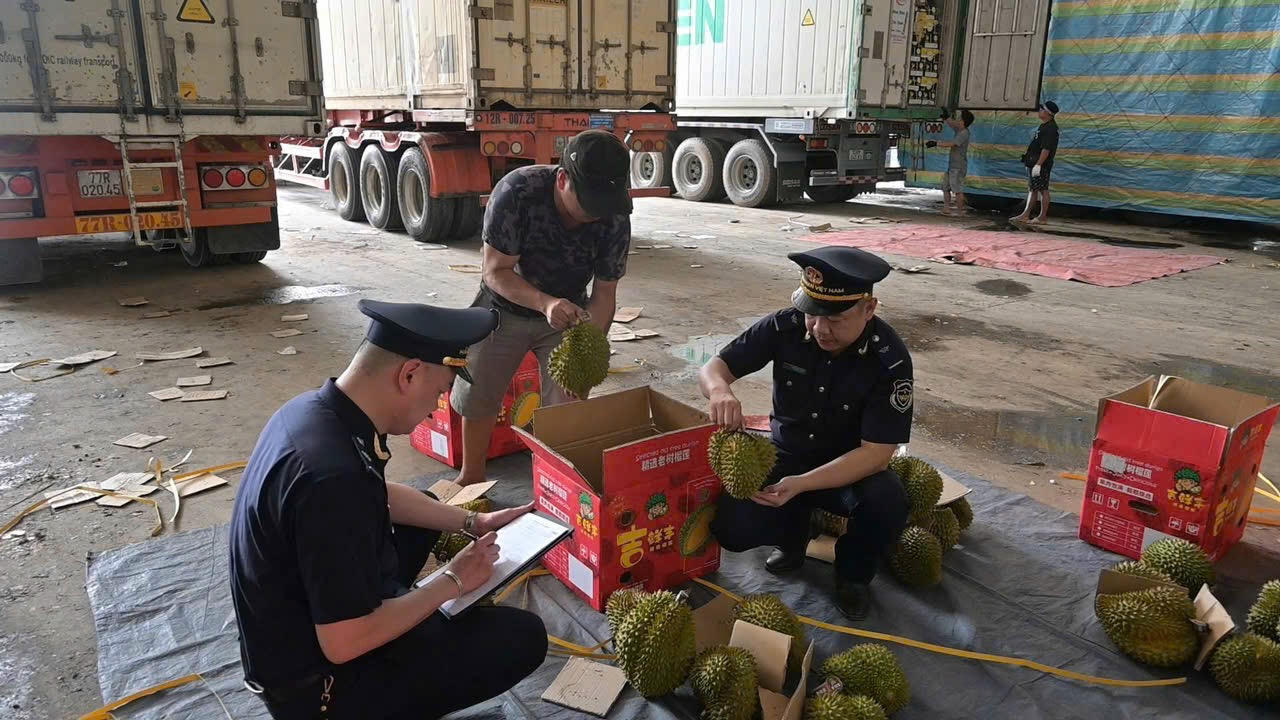 Lực lượng Hải Quan tỉnh Lạng Sơn kiểm tra hàng hoá tại &nbsp;khu vực địa bàn quản lý. (Ảnh: HQLS)