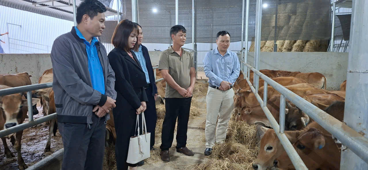 Từ Châu Bình đến Hùng Chân khởi sắc, vươn lên từ mô hình sinh kế Chương trình MTQG