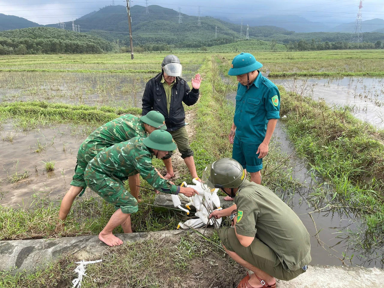 Công tác bảo vệ chim di cư, hoang dã tại TP Huế có nhiều chuyển biến tích cực, qua đó gìn giữ môi trường sinh thái, bảo vệ đa dạng sinh học.