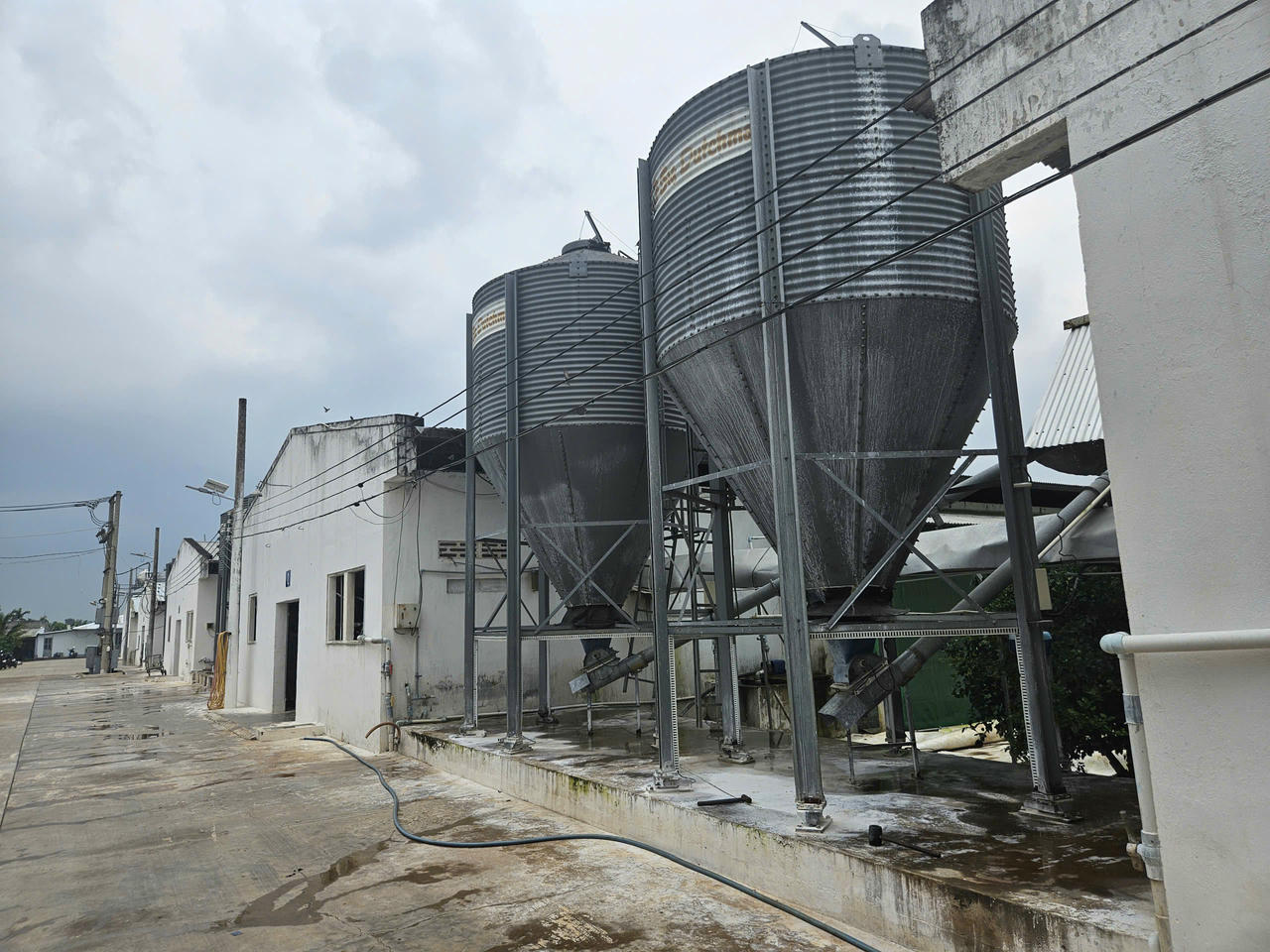 Mô hình nuôi gà công nghệ cao ở Đồng Nai.