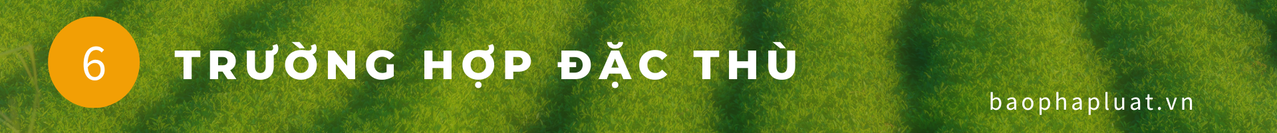 12 ĐIỂM MỚI TRONG LUẬT ĐỊA CHẤT VÀ KHOÁNG SẢN 2024