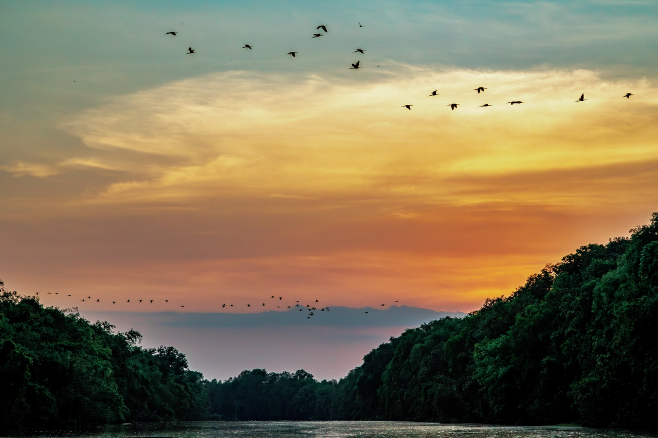 Một thoáng hoàng hôn