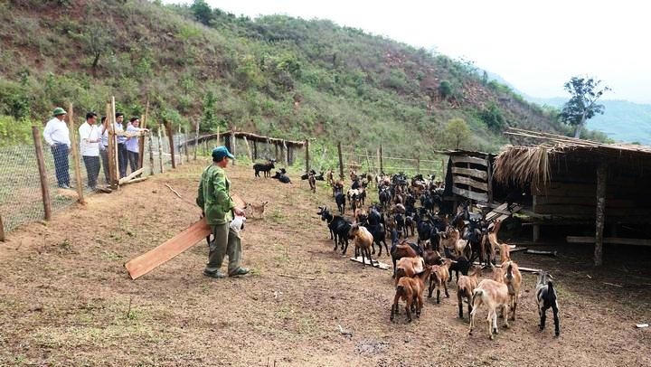 “Khoác áo mới” cho vùng đồng bào DTTS và miền núi từ Chương trình MTQG hướng tới giai đoạn 2 nhiều kỳ vọng