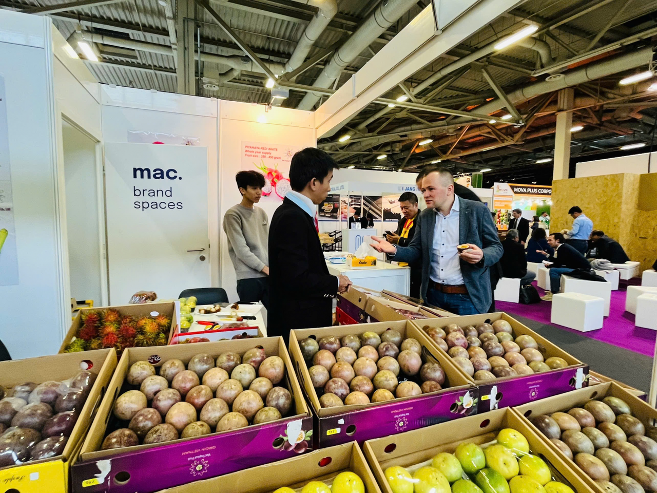 Thương mại Việt Nam – Đức duy trì đà tăng trưởng tích cực, EVFTA tiếp tục phát huy hiệu quả