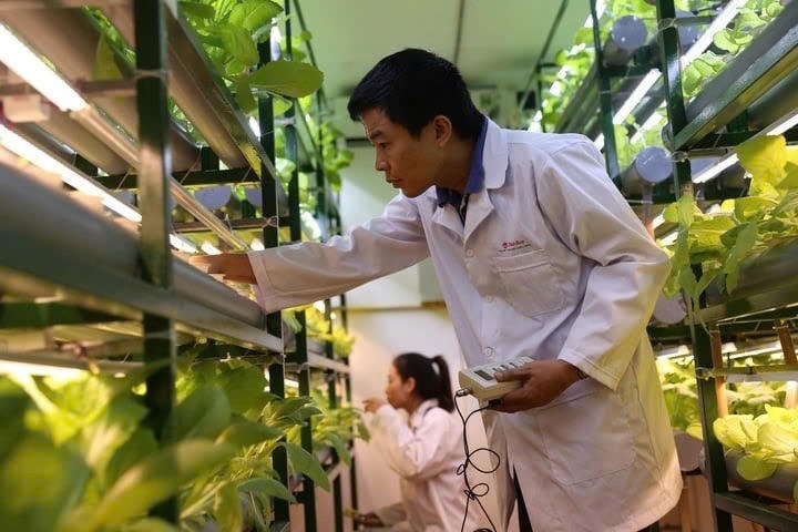 Chuẩn hóa tiêu chuẩn quốc gia, đưa Việt Nam tiến gần mục tiêu Net Zero