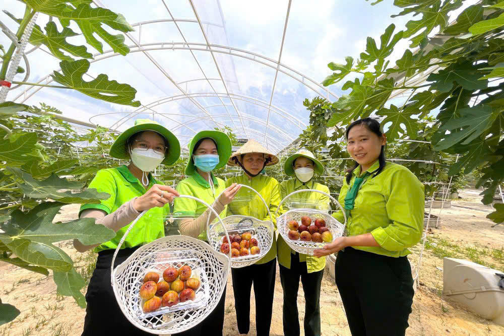 TPHCM đón hơn 53,5 triệu lượt khách du lịch trong năm 2025.