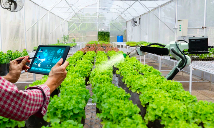 Nông nghiệp công nghệ cao (Ảnh minh họa)
