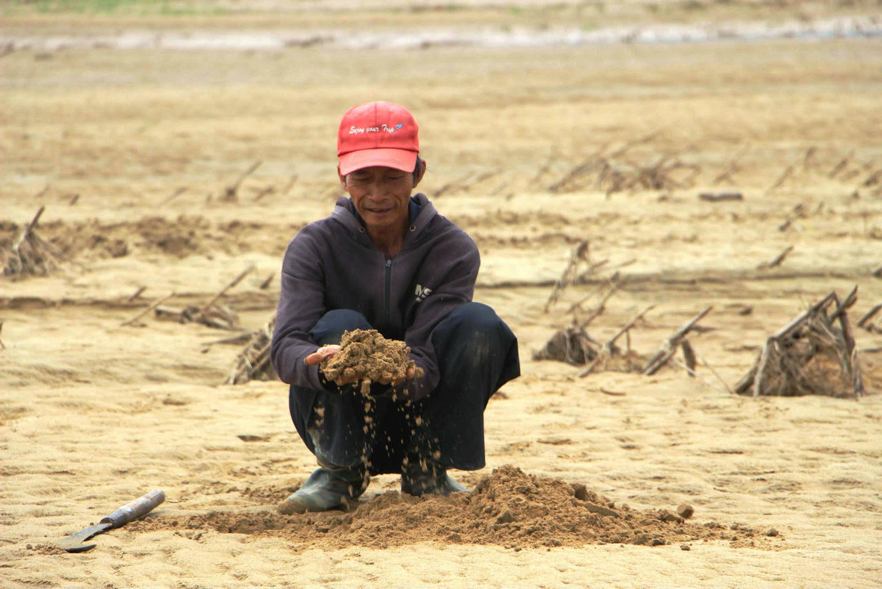 Cát bồi lấp, khiến việc sản xuất của người dân Gò Nổi gặp nhiều khó khăn.