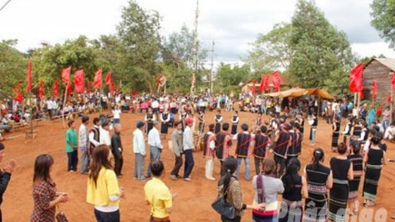 Vui Ngày hội Tết lúa mới của đồng bào Tây Nguyên