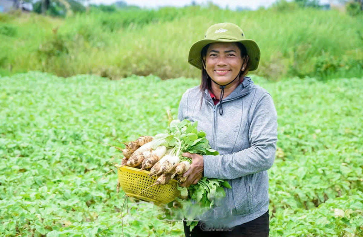 Những luống rau màu giúp bà Lâm Thị Hà (khóm Biển Đông A) có thu nhập ổn định, vươn lên khá giả (Ảnh: K.C).