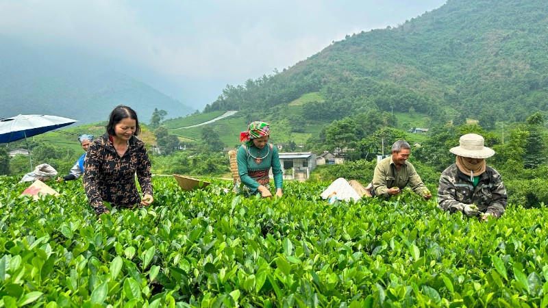 Phát triển các vùng miền bền vững, đồng đều