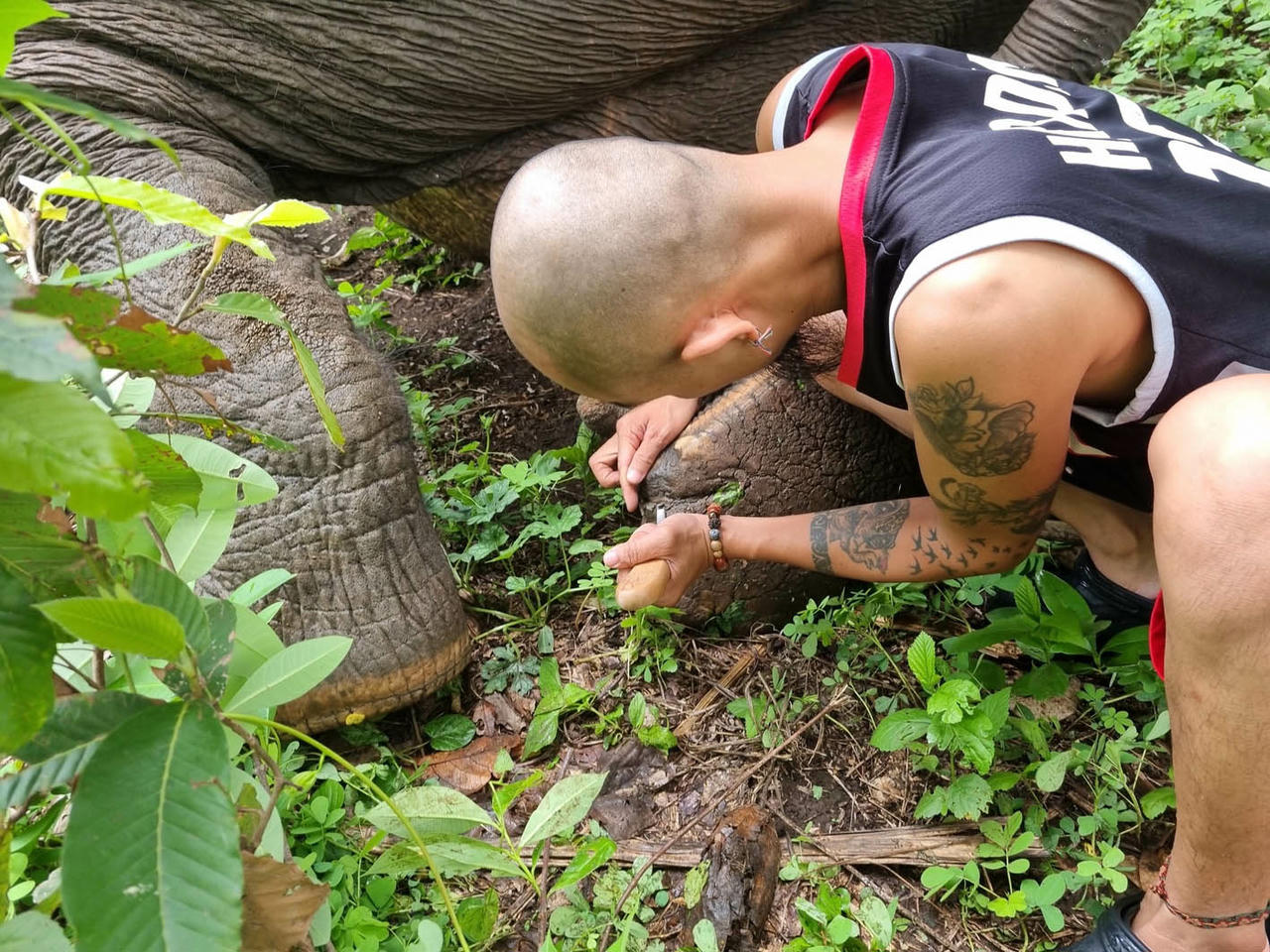 Người chăm voi ở rừng Yok Don