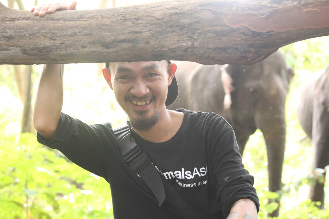 Người chăm voi ở rừng Yok Don