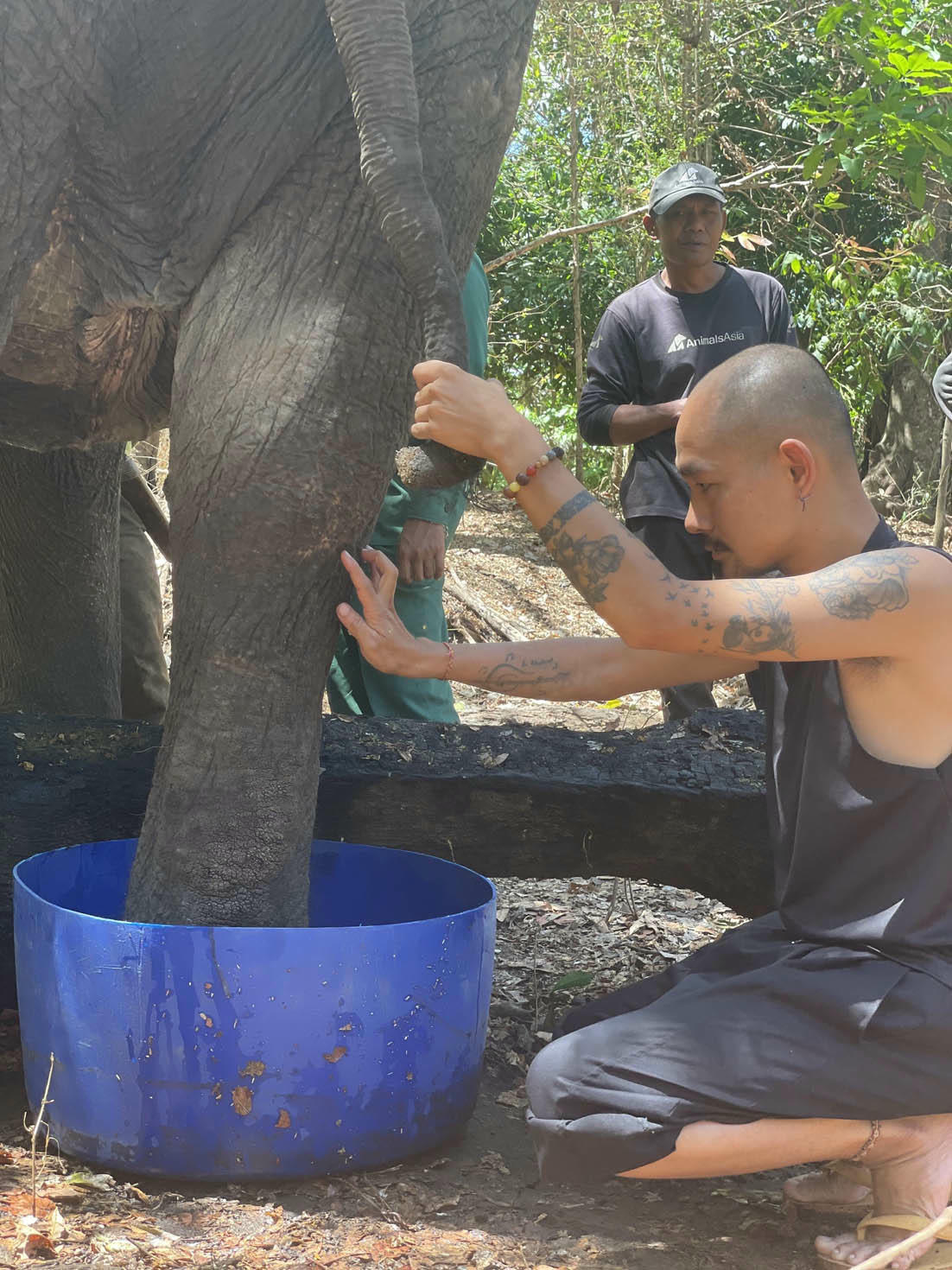 Người chăm voi ở rừng Yok Don