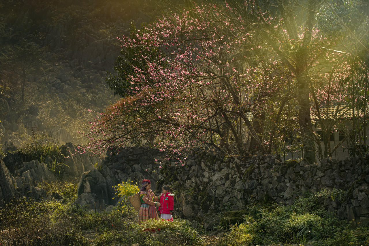 Dấu ấn hội nhập - Khẳng định thương hiệu du lịch Tuyên Quang, Việt Nam trên trường quốc tế. (Ảnh: Sở VHTT&DL tỉnh Tuyên Quang)