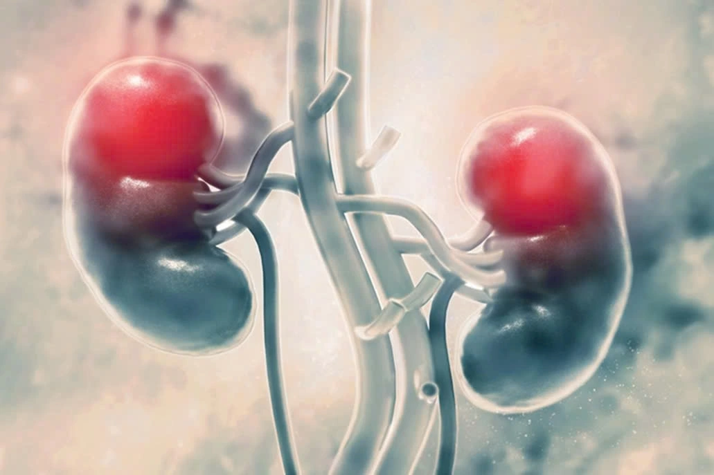 Thận yếu ngày càng trở nên phổ biến