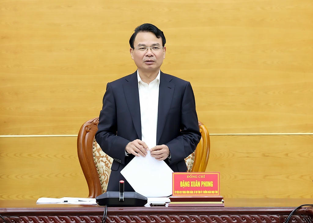 Bí thư Tỉnh ủy Ninh Bình Đặng Xuân Phong phát biểu tại hội nghị (Ảnh: Trần Thoan)