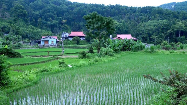 Chợ Mới đổi thay từ những Chương trình Mục tiêu Quốc gia: Hạ tầng khởi sắc, sinh kế vững bền