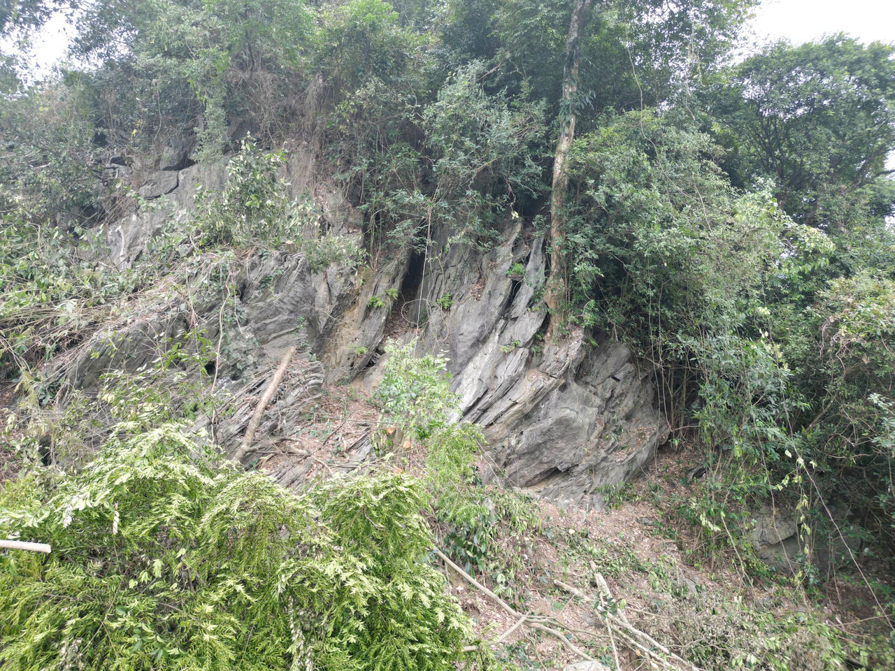 Sở Nông nghiệp và Môi trường cho biết dự án đã được phê duyệt Báo cáo đánh giá tác động môi trường theo quy định. Ảnh: Ngọc Phúc&nbsp;