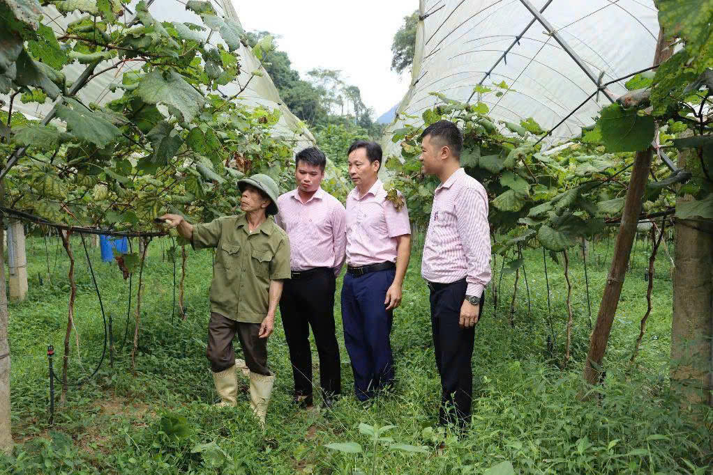 Cán bộ tín dụng NHCSXH tỉnh Cao Bằng thường xuyên về cơ sở, tận tình hướng dẫn đồng bào dân tộc sử dụng vốn bay đầu tư sản xuất hiệu quả.