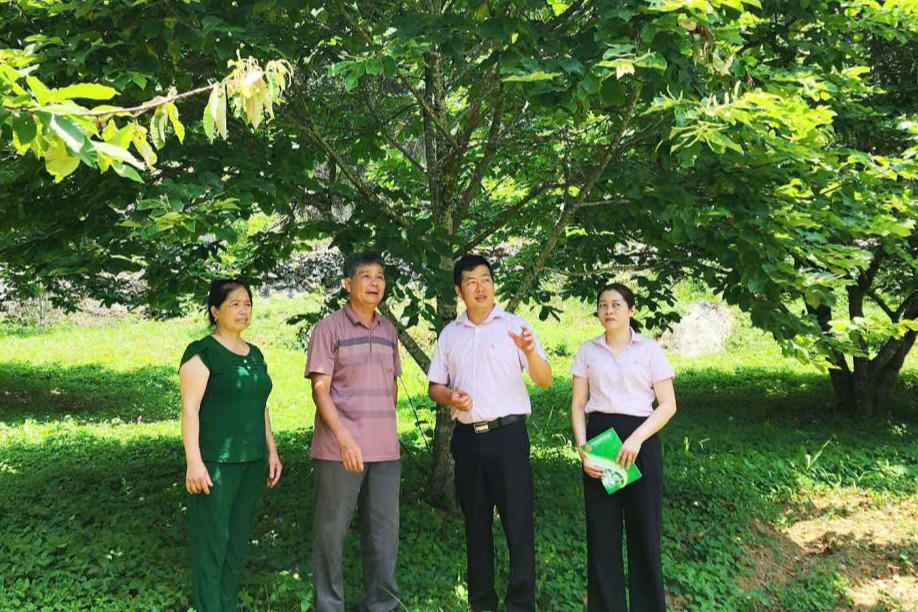 Tín dụng chính sách - Hành trình 23 năm giúp đồng bào dân tộc Cao Bằng vượt khó