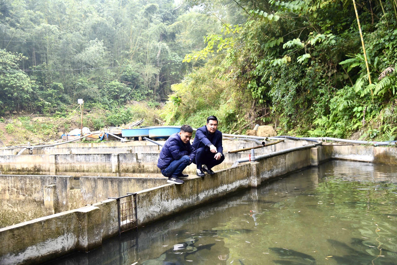 Trại cá tầm của gia đình anh Đặng Hành Dũng nằm bên ngay cạnh bờ suối, có nguồn nước tinh khiết, mát mẻ. (Ảnh: Thanh Tùng)