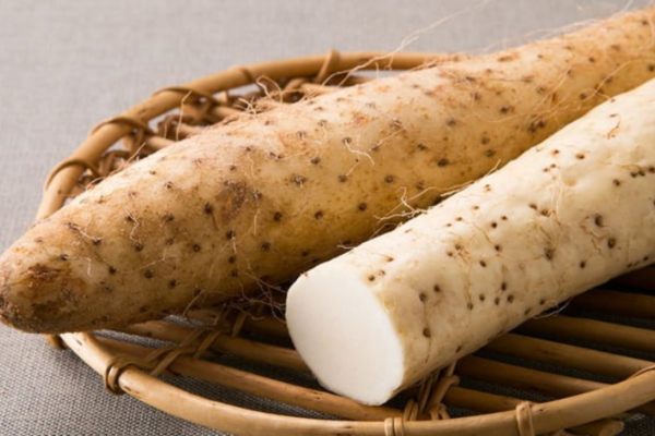 Củ mài chứa Pregnenolone từ lâu đã được sử dụng để bồi bổ cho phụ nữ sau sinh