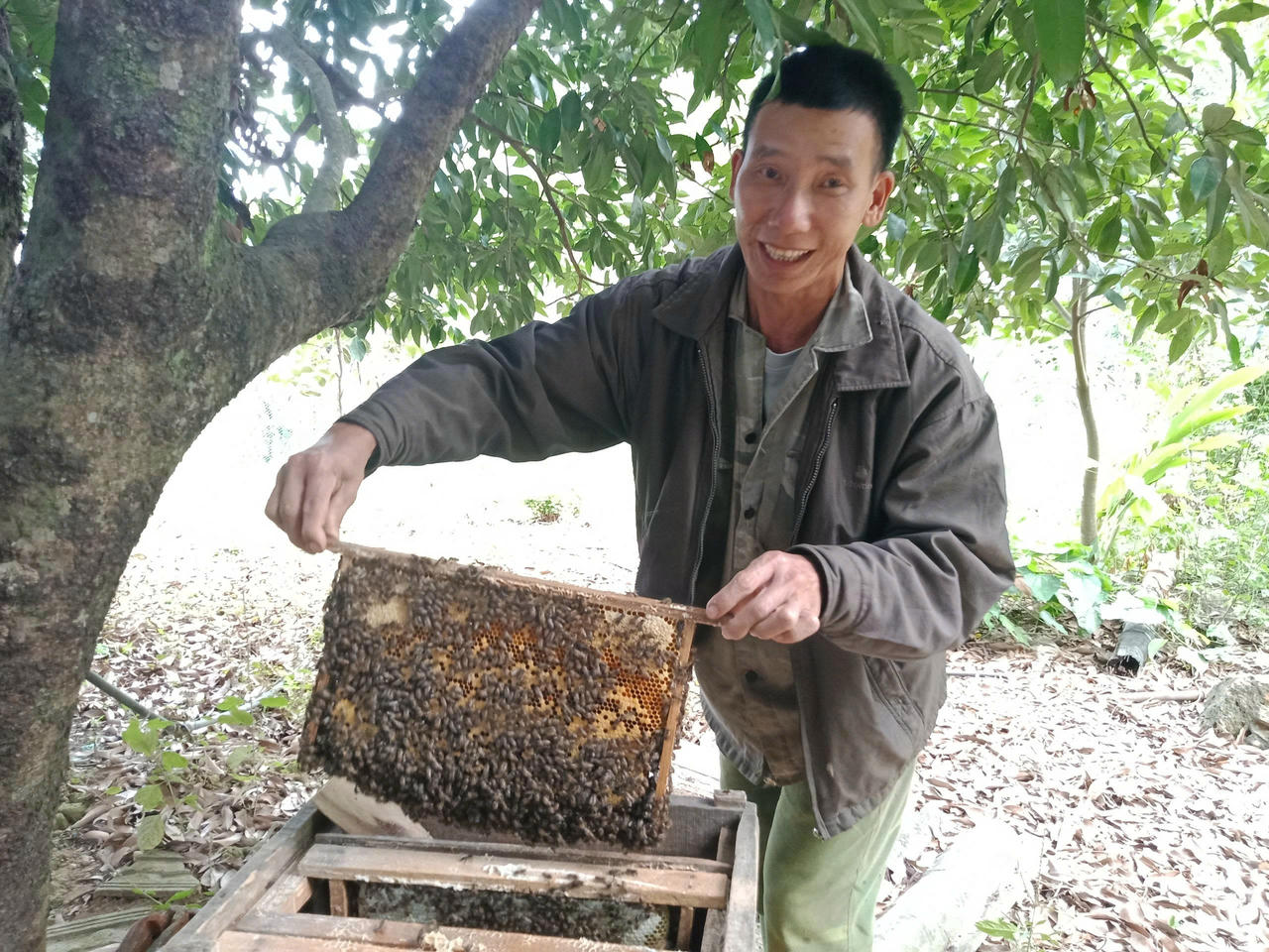 Mô hình nuôi ong mang lại hiệu quả kinh tế cao.